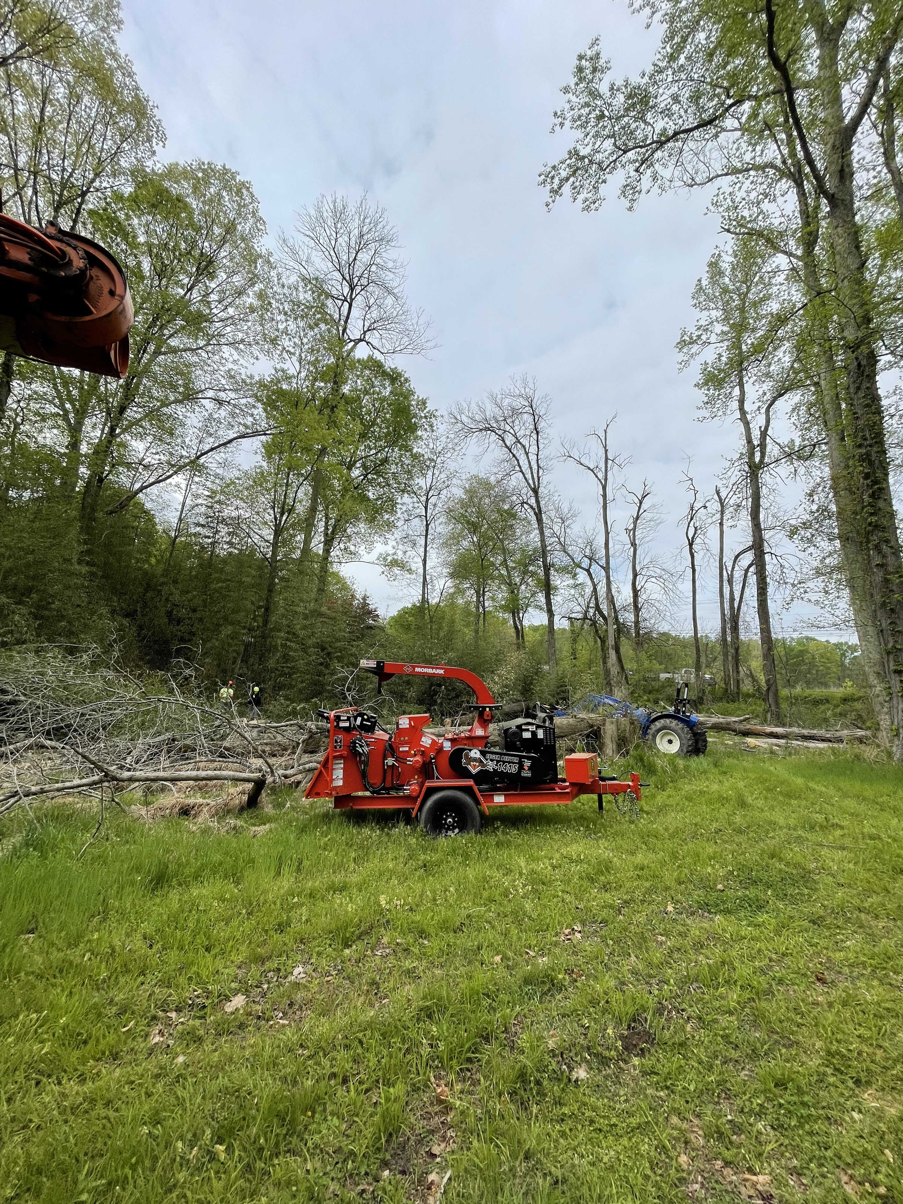 Land Clearing & Grading – Ziemba's Tree Service